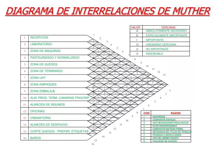 diagrama de interrelaciones de muther