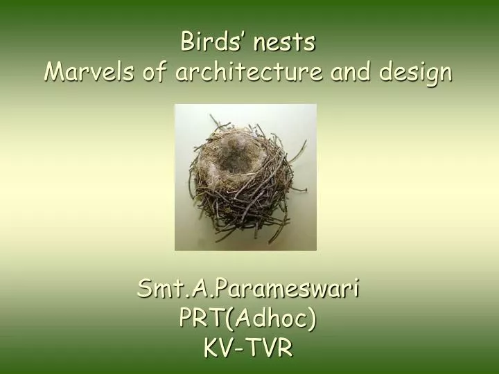 birds nests marvels of architecture and design