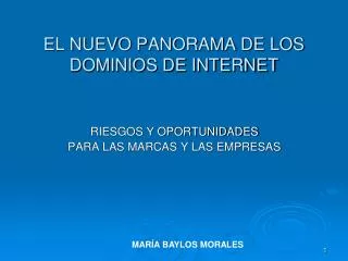 el nuevo panorama de los dominios de internet