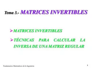 tema 3 matrices invertibles