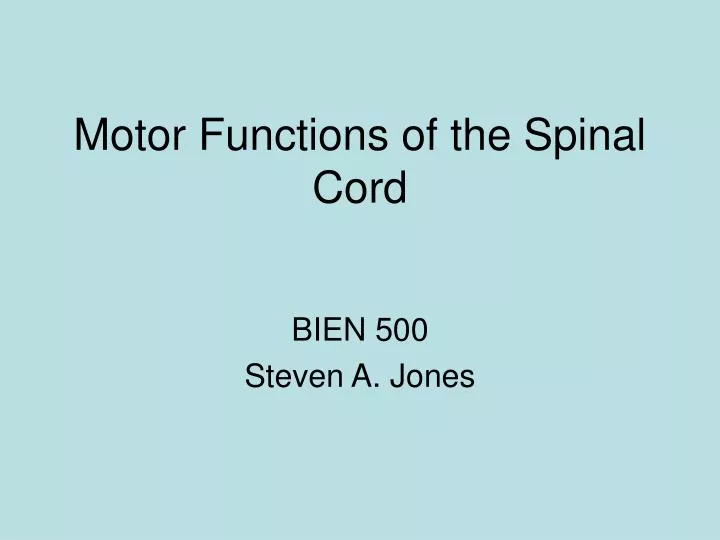 motor functions of the spinal cord