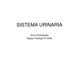 sistema urinaria