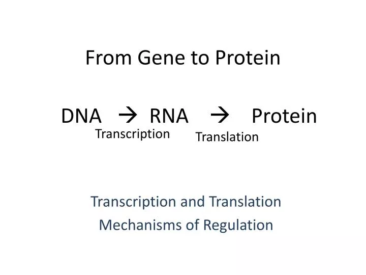 from gene to protein