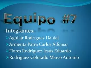 equipo 7