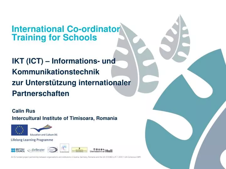 international co ordinator training for schools
