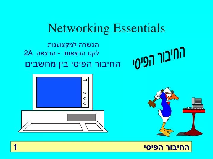 networking essentials