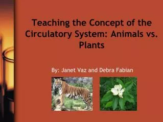 Teaching the Concept of the Circulatory System: Animals vs. Plants
