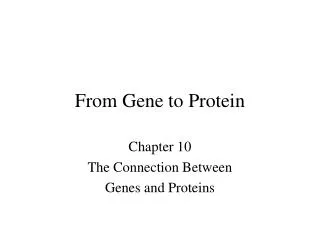 From Gene to Protein