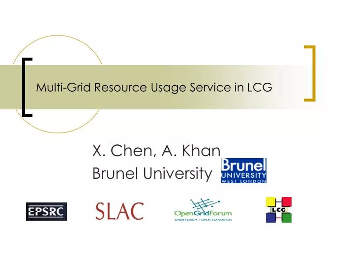 multi grid resource usage service in lcg