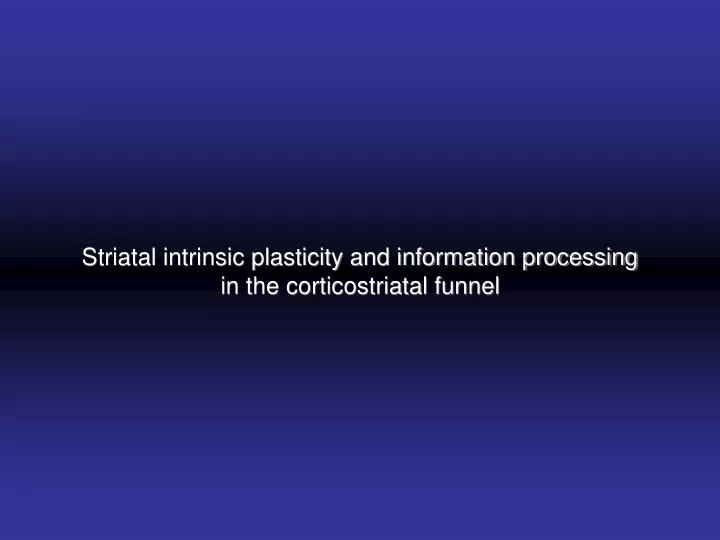 striatal intrinsic plasticity and information processing in the corticostriatal funnel