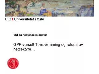 vdi p nestenseksjonstur