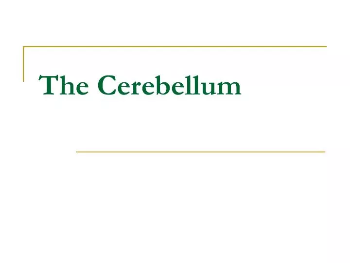 the cerebellum