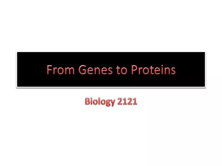 from genes to proteins