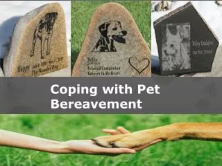 Coping with Pet Bereavement