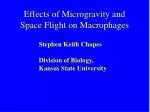Effects of Microgravity and Space Flight on Macrophages