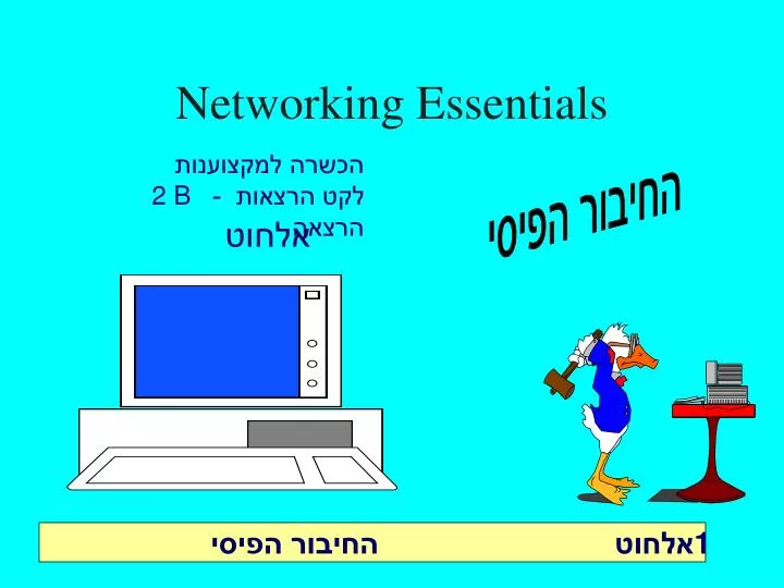 networking essentials