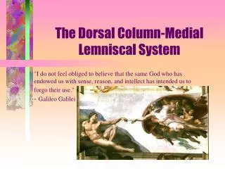 The Dorsal Column-Medial Lemniscal System