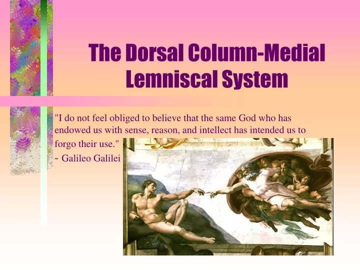 the dorsal column medial lemniscal system