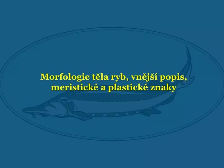 morfologie t la ryb vn j popis meristick a plastick znaky