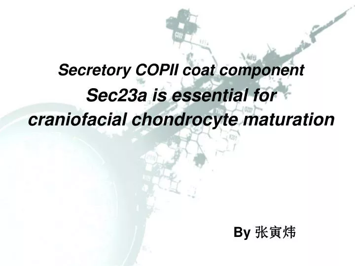 secretory copii coat component sec23a is essential for craniofacial chondrocyte maturation
