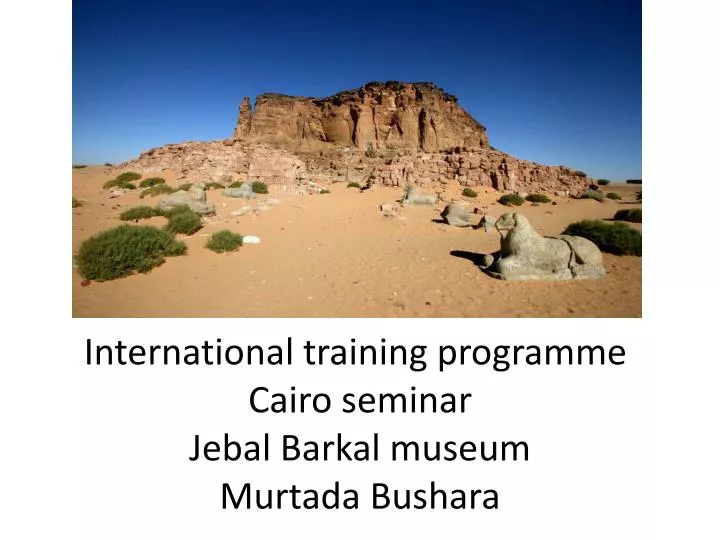 international training programme cairo seminar jebal barkal museum murtada bushara