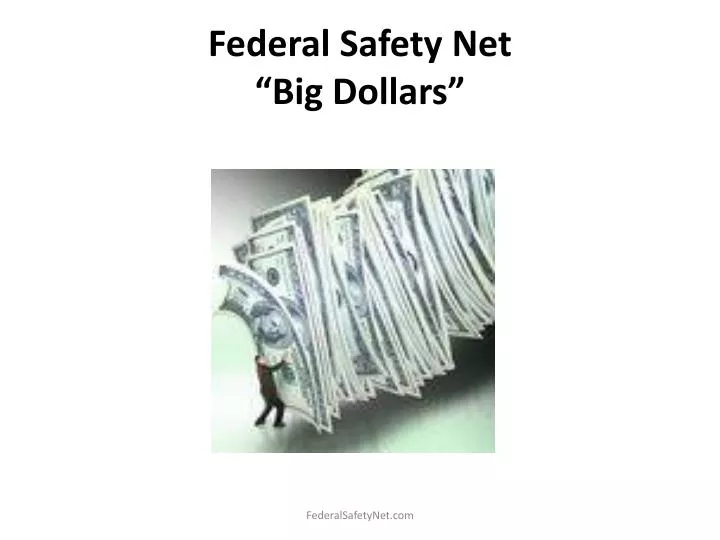 federal safety net big dollars