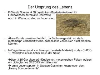 der ursprung des lebens