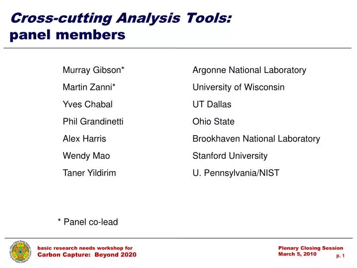cross cutting analysis tools panel members