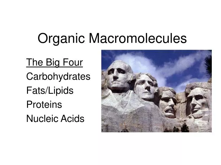 organic macromolecules