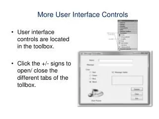 More User Interface Controls