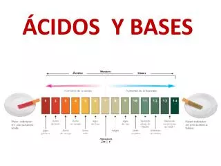 cidos y bases