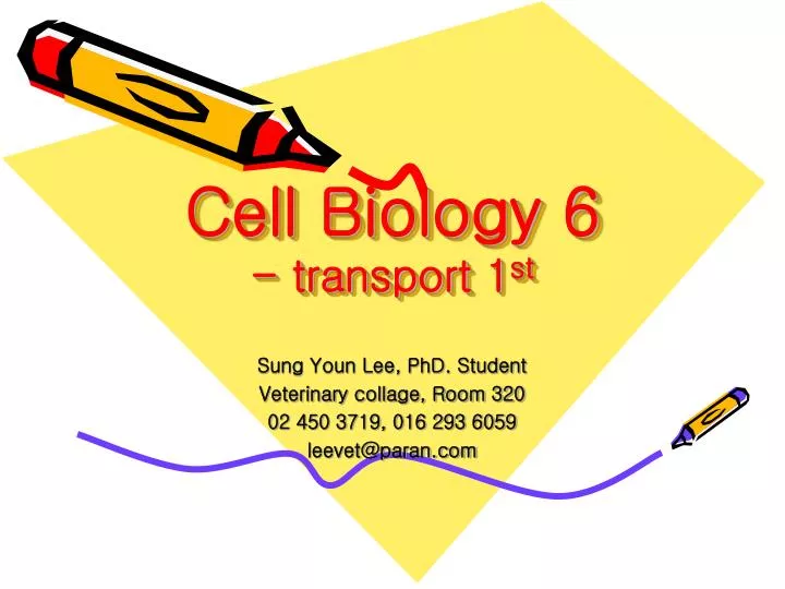 cell biology 6 transport 1 st