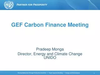 GEF Carbon Finance Meeting