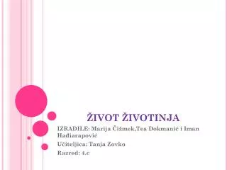 ivot ivotinja