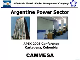 Argentine Power Sector