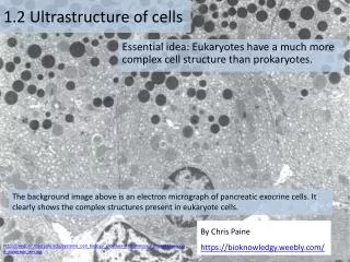 1 .2 Ultrastructure of cells