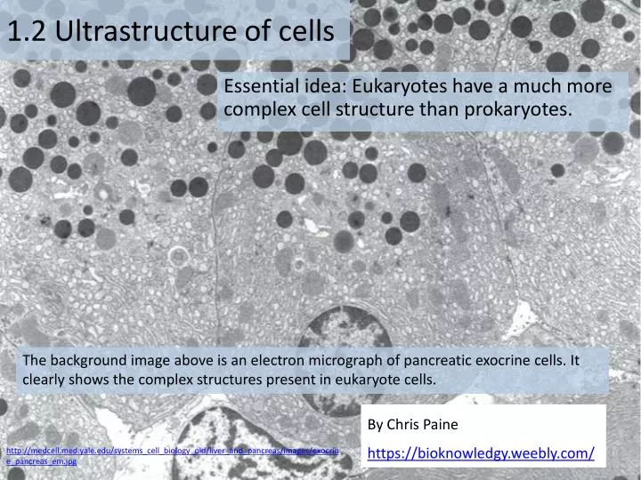 1 2 ultrastructure of cells