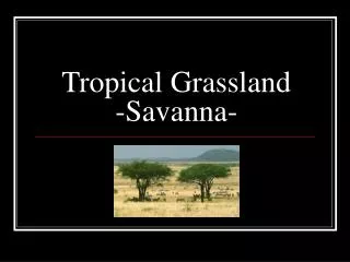 Tropical Grassland -Savanna-