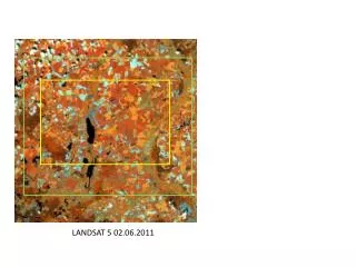 LANDSAT 5 02.06.2011