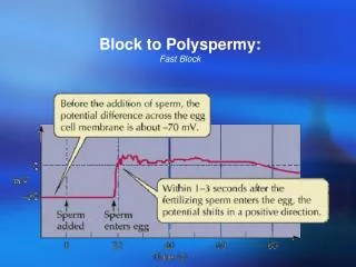 Block to Polyspermy: Fast Block