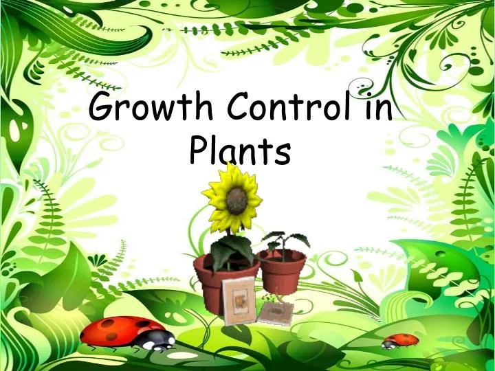 growth control in plants