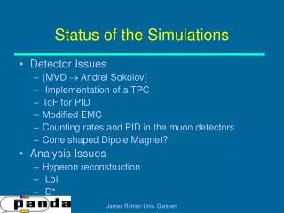 Status of the Simulations