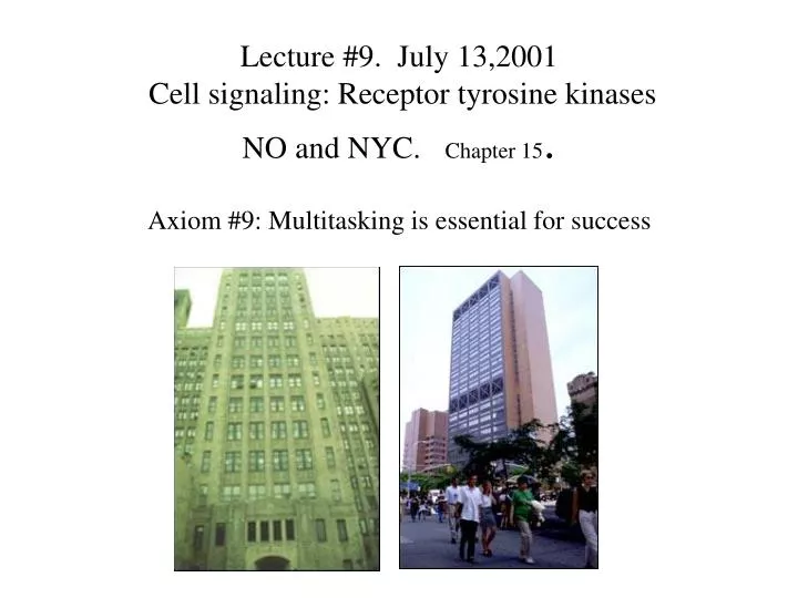 lecture 9 july 13 2001 cell signaling receptor tyrosine kinases no and nyc chapter 15