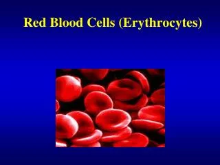 Red Blood Cells (Erythrocytes)