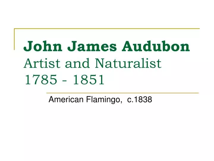 john james audubon artist and naturalist 1785 1851