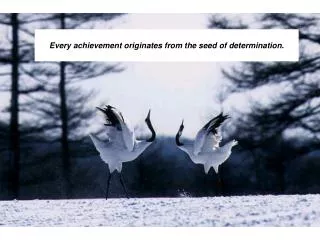 Every achievement originates from the seed of determination.