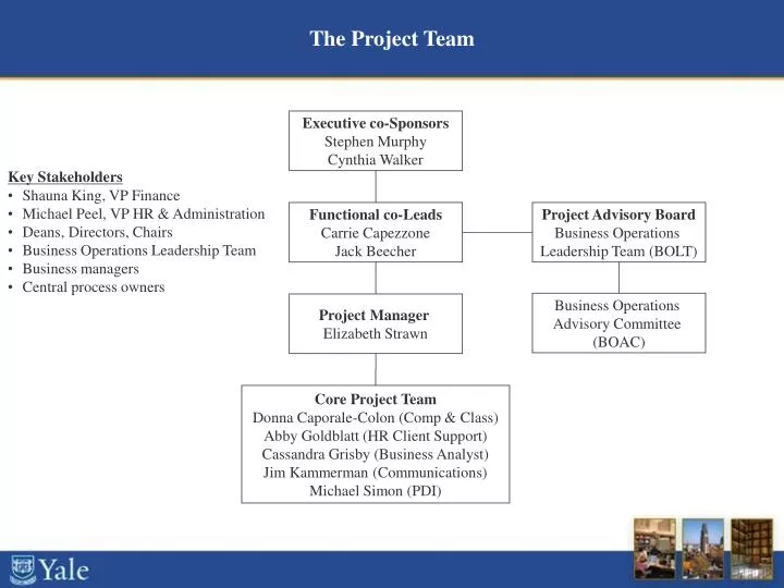 the project team