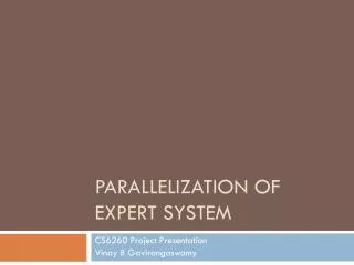 parallelization of expert system