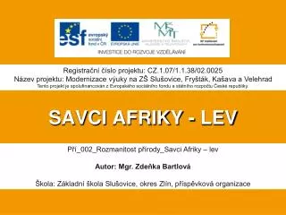 savci afriky lev