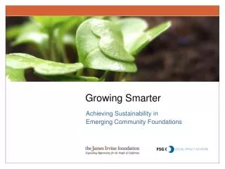 Achieving Sustainability in Emerging Community Foundations